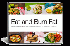 Best Fat Burning Recipes