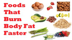 Top Fat Burning Recipes